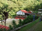 Mexican Finca (farm)